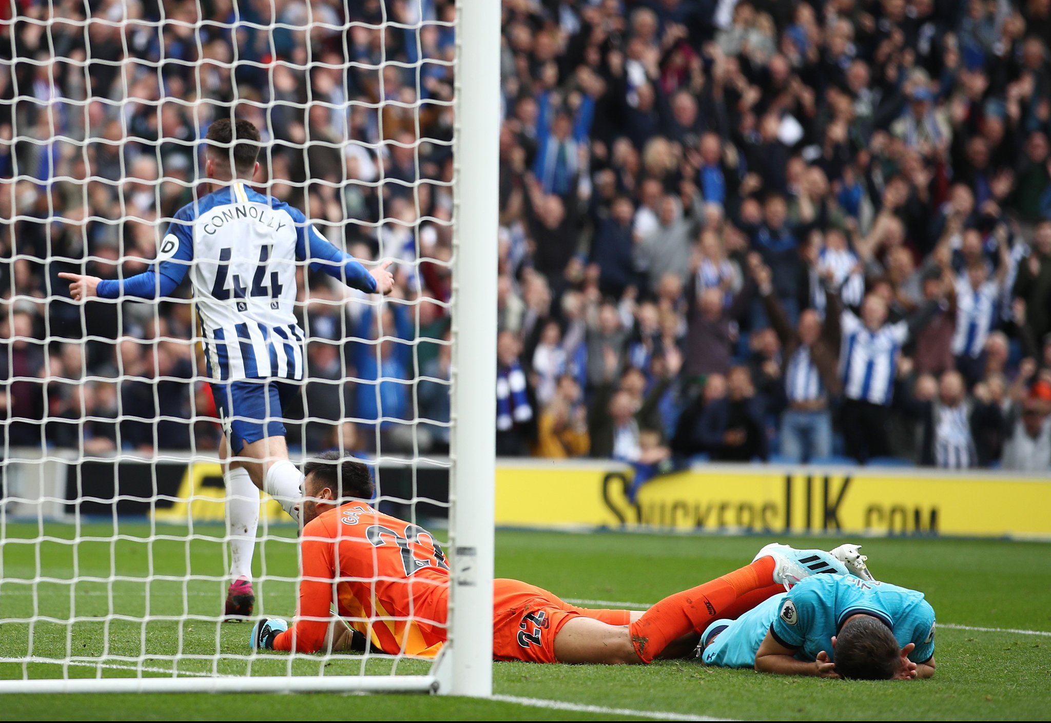 培养年轻球 培养年轻球